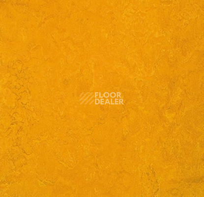 Линолеум Forbo Marmoleum Marbled Fresco 3125-312535 golden sunset фото 1 | FLOORDEALER